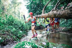 BIB: 
                            <button type="button" onclick="openModal(25459811)" class="btn btn-primary btn-sm float-right btn-popup" data-toggle="modal" data-target=".modal-high-quality">
                        <i class="fas fa-shopping-cart"></i> Add to Cart
                    </button>
                                            <button type="button" onclick="isThisMe(25459811, true)" class="btn btn-success btn-sm float-right btn-popup btn-isme hidden" data-toggle="tooltip" data-placement="bottom" title="นี่คือรูปของคุณใช่ไหม คลิกที่นี่เพื่อเอาเข้าอัลบั้ม">
                        <i class="fas fa-plus"></i> Add to album
                    </button>
                    <button type="button" onclick="isThisMe(25459811, false)" class="btn btn-warning btn-sm float-right btn-popup btn-isnotme hidden">
                        <i class="fas fa-ban"></i> Remove from album
                    </button>